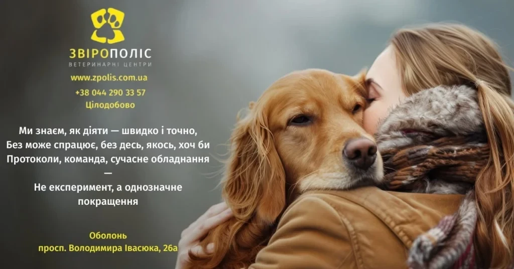 Ветеринарні клініки на Оболоні: медична допомога поруч із домом